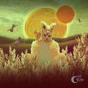 the album cover for Mr Gnome - Madness in Miniature