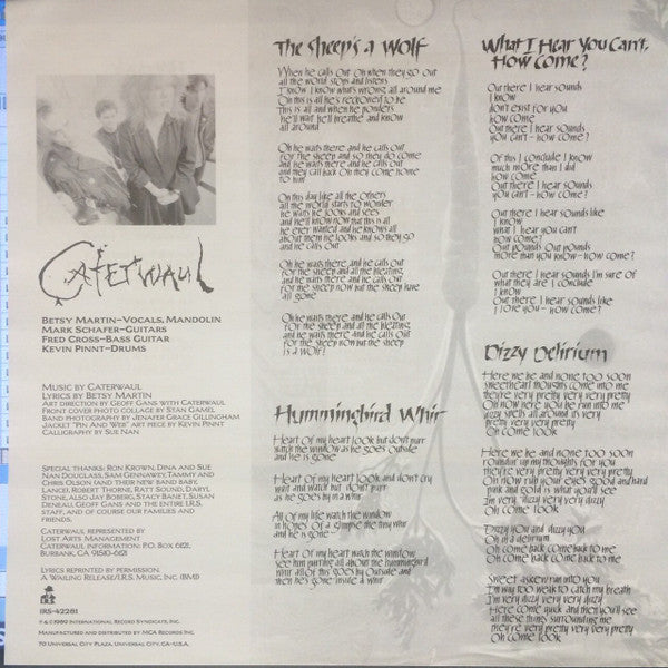 Caterwaul : Pin & Web (LP, Album)