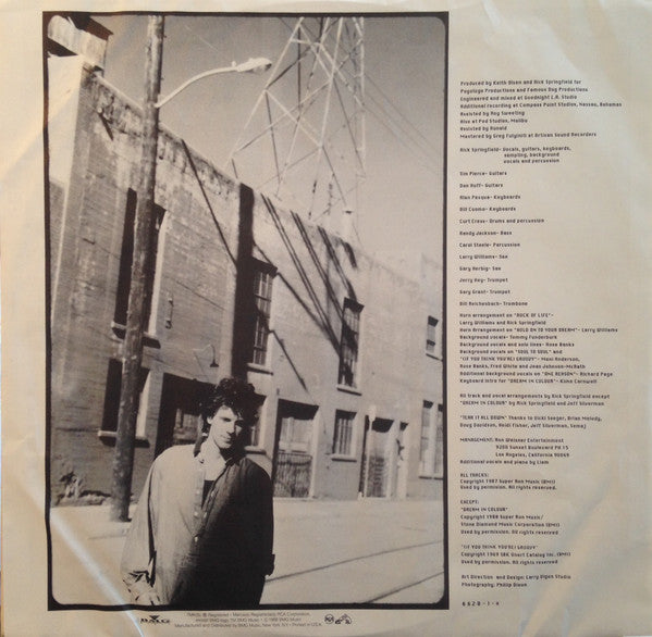 Rick Springfield : Rock Of Life (LP, Album, All)