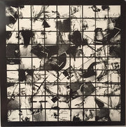 H.N.A.S. : Bitte Werfen Sie Ihren Müll Aus Dem Fenster (LP, MiniAlbum, Ltd)