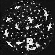 H.N.A.S. : Bitte Werfen Sie Ihren Müll Aus Dem Fenster (LP, MiniAlbum, Ltd)
