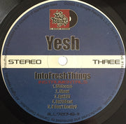 Yesh* : Into Fresh Things (2x12", EP)