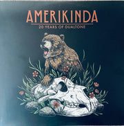 Various : Amerikinda: 20 Years Of Dualtone (2x12", Comp)