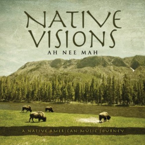 the album cover for Ah Nee Mah - Native Visions: A Native American Music Journey