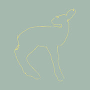 the album cover for SongsOhia - Hecla and Griper [15th Anniversary Edition]