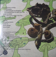 JD Pinkus* : Fungus Shui (LP, Ltd, 2nd)