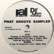 Various : Phat Groove Sampler (12", EP)
