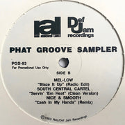 Various : Phat Groove Sampler (12", EP)