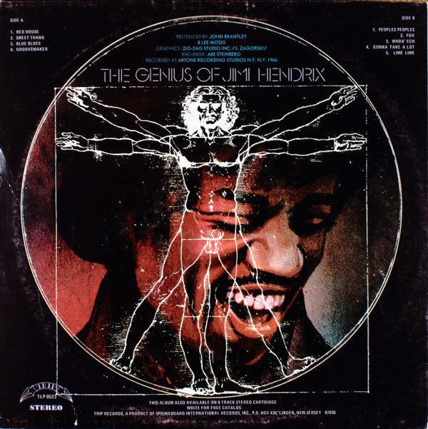 Jimi Hendrix : The Genius Of Jimi Hendrix (LP, Comp)