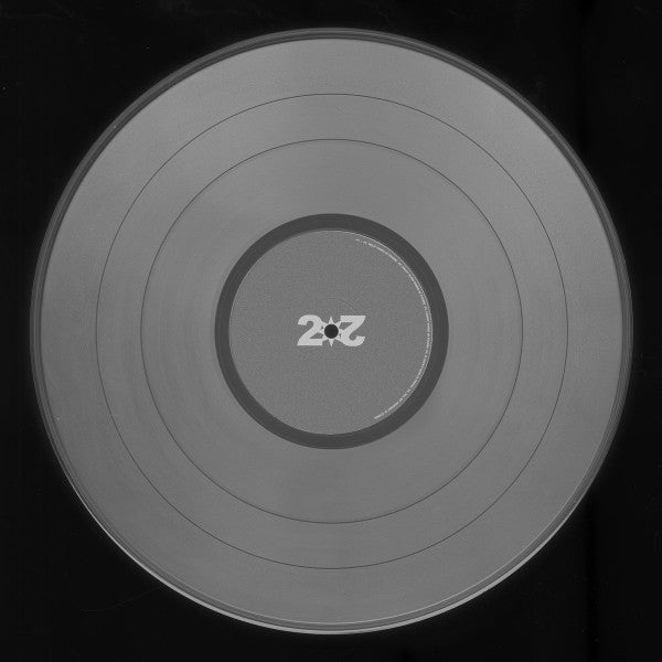 Brion Starr : 2020 (LP, Album, Cle)