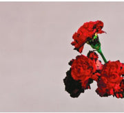 the album cover for John Legend - Love in the Future