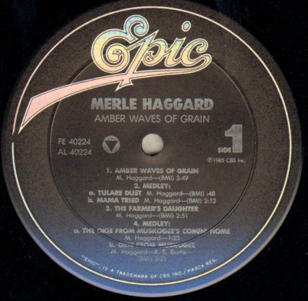 Merle Haggard : Amber Waves Of Grain (LP, Album, Car)