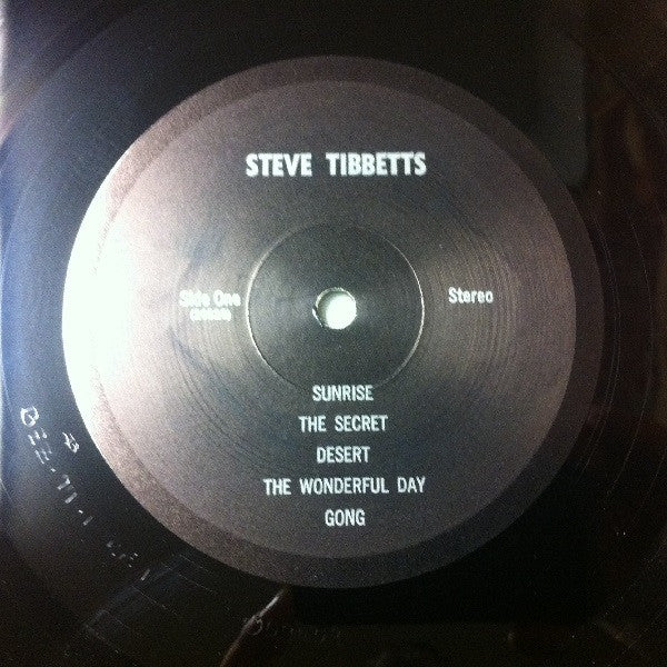 Steve Tibbetts : Steve Tibbetts (LP, Album)
