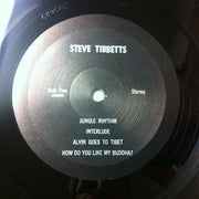 Steve Tibbetts : Steve Tibbetts (LP, Album)