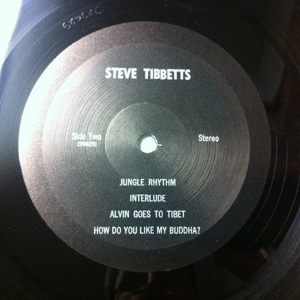 Steve Tibbetts : Steve Tibbetts (LP, Album)