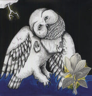 the album cover for SongsOhia - Magnolia Electric Company Co