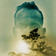 the album cover for Duquette Johnston - Rabbit Runs a Destiny