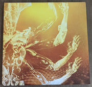 Tool (2) : Fear Inoculum (2xLP + LP, S/Sided, Etch + Album, RE, Tri)