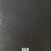 Billy Woods : Aethiopes (LP, Album, Ltd, 180)