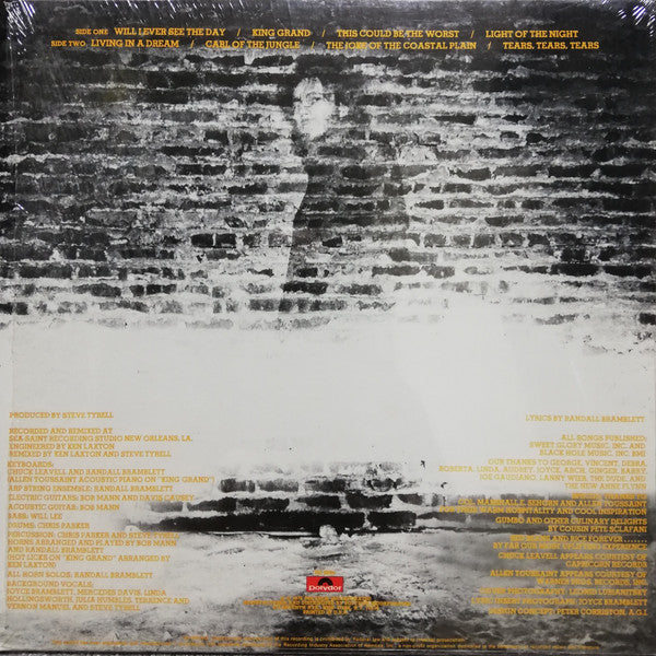 Randall Bramblett : Light Of The Night (LP, Album)