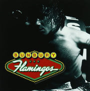 the album cover for Bunbury - Flamingos