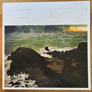 Fleet Foxes : Crack-Up (2xLP, Album)