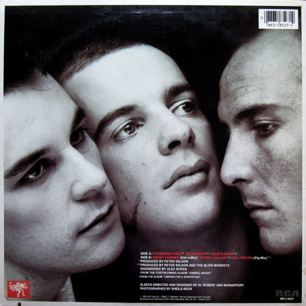 The Blow Monkeys : Forbidden Fruit (LP, MiniAlbum, Ind)