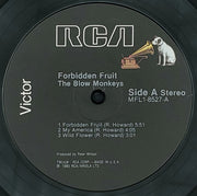 The Blow Monkeys : Forbidden Fruit (LP, MiniAlbum, Ind)