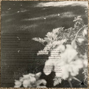 Illuminati Hotties : Kiss Yr Frenemies (LP, RP, Rec)