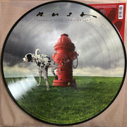 Rush : Signals  (LP, Album, Ltd, Pic, RE, RM, 40t)