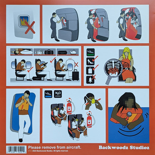 Billy Woods & Kenny Segal : Maps (LP, Album, Ora)