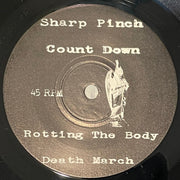 Asschapel : Rotting The Body (7")