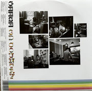 Geese (11) : 3D Country (LP, Album, Ltd, Cle)