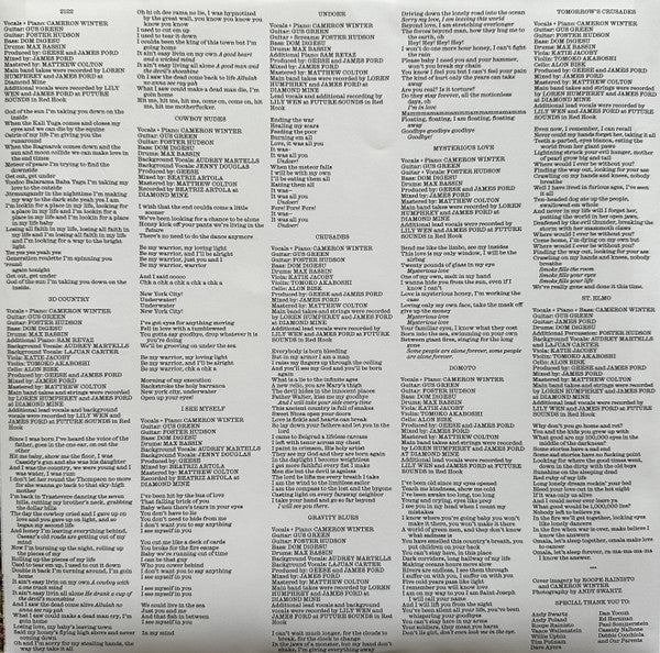 Geese (11) : 3D Country (LP, Album, Ltd, Cle)