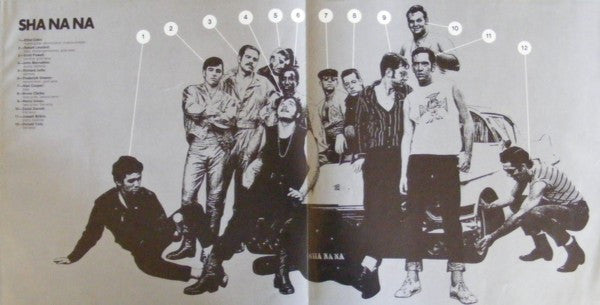 Sha Na Na : Rock & Roll Is Here To Stay (LP, Album, Gat)