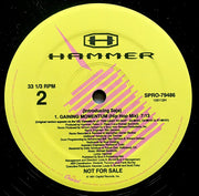 Hammer* : Gaining Momentum (12", Single, Promo)