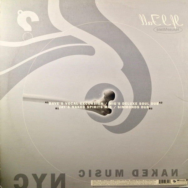 Naked Music NYC : If I Fall (House Mixes) (12")