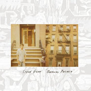 the album cover for Steve Gunn - Boerum Palace