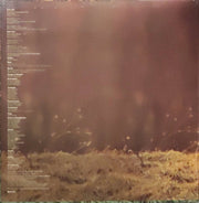 Eumir Deodato : Whirlwinds (LP, Album, Gat)
