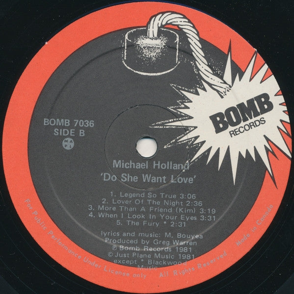 Michael Holland (3) : Do She Want Love (LP, Album)