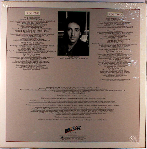 David Pomeranz : The Truth Of Us (LP, Album)