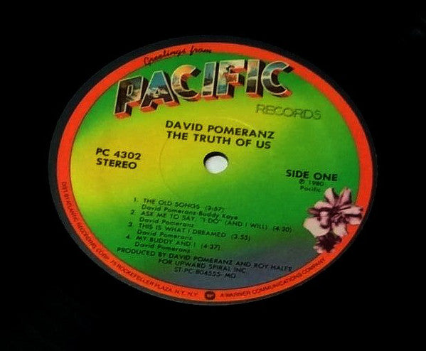 David Pomeranz : The Truth Of Us (LP, Album)