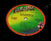 David Pomeranz : The Truth Of Us (LP, Album)