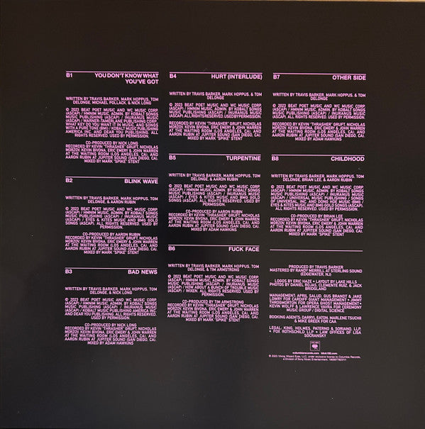 Blink-182 : One More Time... (LP, Album)