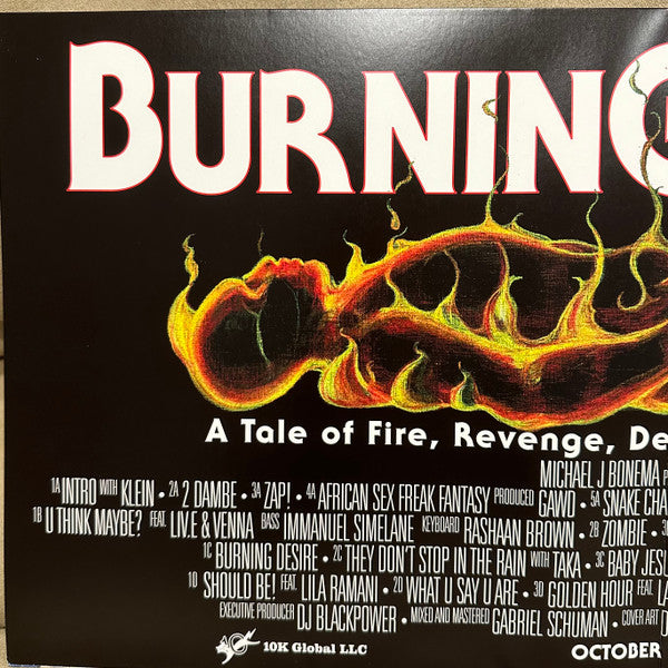 Mike (408) : Burning Desire (2xLP, Album)