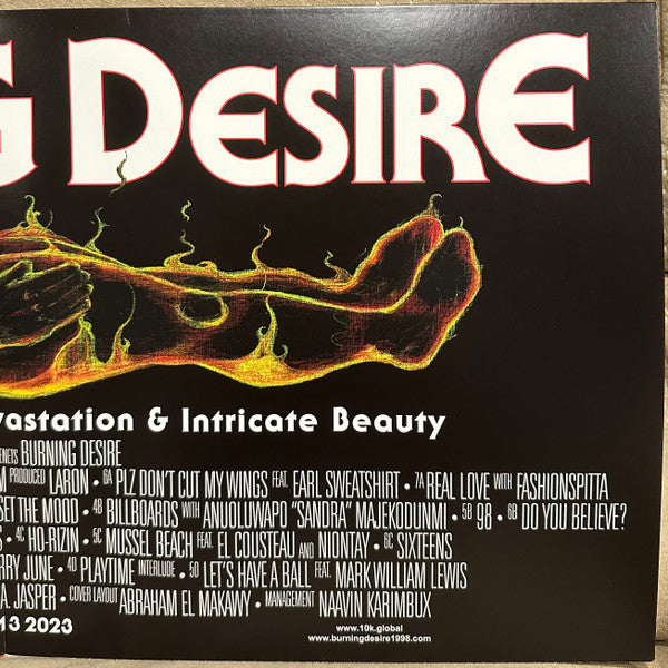 Mike (408) : Burning Desire (2xLP, Album)