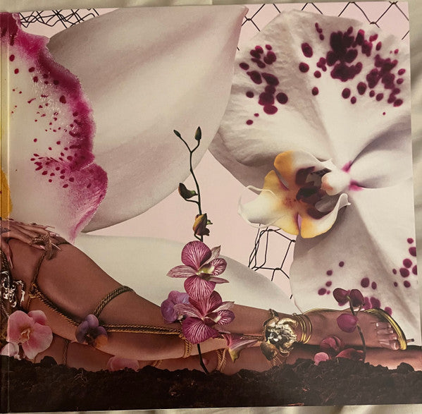 Kali Uchis : Orquídeas (LP, Album)