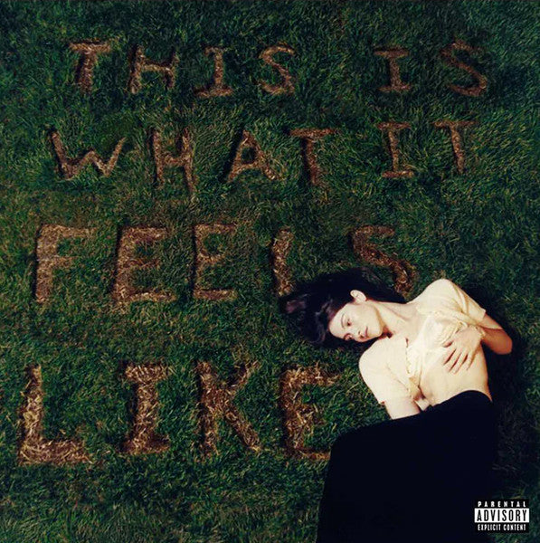 Gracie Abrams : This Is What It Feels Like (LP)