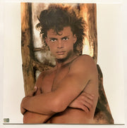 Luis Miguel : Busca Una Mujer (LP, Album, RE)