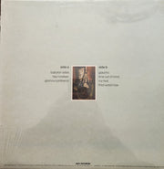 Steely Dan : Gaucho (LP, Album, EDP)